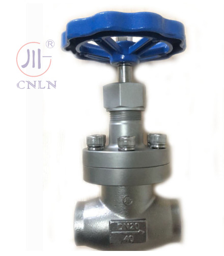 CNLN/Arman DJ61F-40P SS304/316 LNG/LOX/LN2 시스템용 냉동 글로브 밸브 단 줄기형 A ((DN10-100mm) CE/ISO/EAC 인증