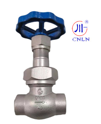 CNLN/Arman DJ61F-40P SS304/316 LNG/LOX/LN2 시스템용 크라이오겐  글로브 밸브 단 줄기형 C ((DN10-50mm) CE/ISO/EAC 인증
