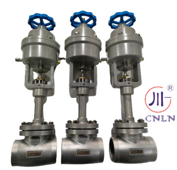 LOX,LAR,LIN,LNG,LCO2 EAC ISO CE 인증을 가진 냉동 차단 밸브