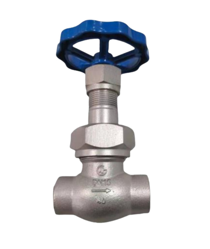 정렬 스팀 LN2 DN25 LNG/LOX/LN2/LAR/LCO2를 위한 냉동 소켓 웰드 글로브 밸브 DJ61F-40P