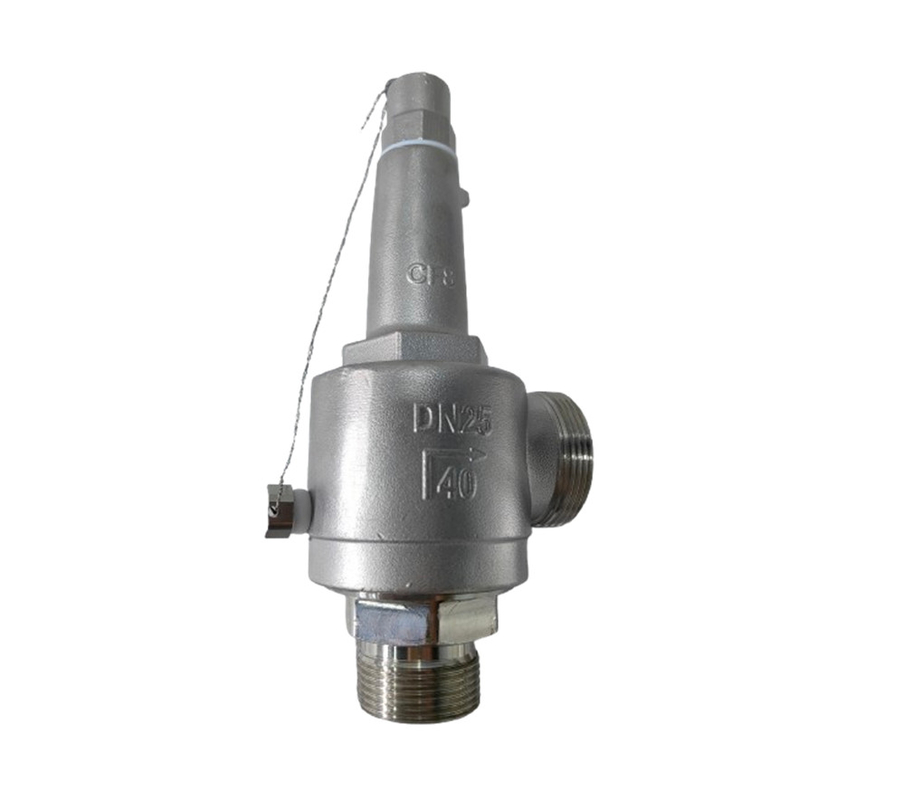 DN25 SS304/316 DA22Y LNG/LOX/LN2/LAR/LCO2용 냉동 안전 밸브