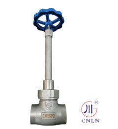 정렬 스팀 LN2 DN25 LNG/LOX/LN2/LAR/LCO2를 위한 냉동 소켓 웰드 글로브 밸브 DJ61F-40P