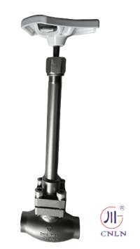 PN50 크로오겐 컵 밸브 스테인리스 스틸 304/316 소켓 용접 -196°C ~ +80°C