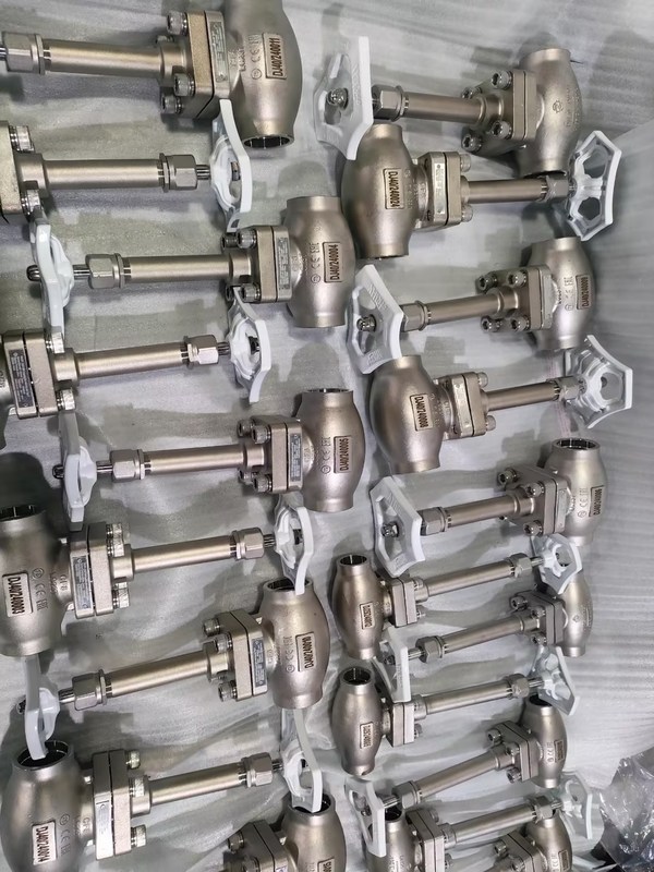 DN25 극저온 글로브 밸브 스테인리스 스틸 304/316, PTFE 씰 및 CF8/CF3 밸브 바디, -196°C ~ +80°C 적용