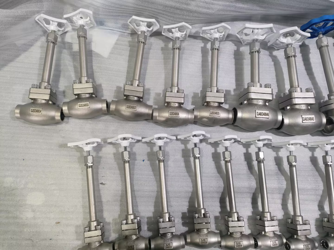 DN25 극저온 글로브 밸브 스테인리스 스틸 304/316, PTFE 씰 및 CF8/CF3 밸브 바디, -196°C ~ +80°C 적용