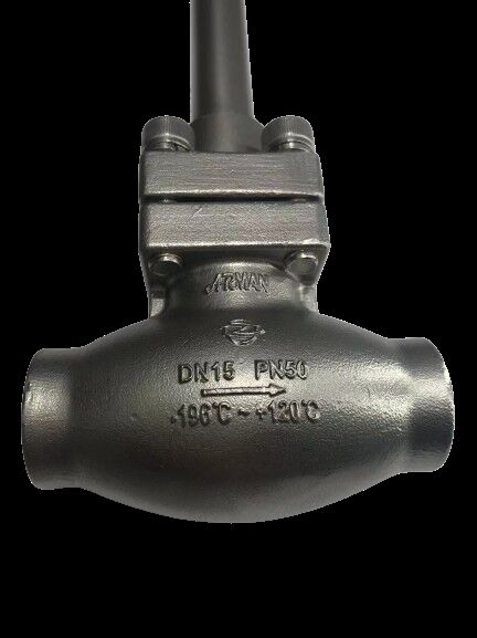 스테인리스 스틸 304/316 극저온 글로브 밸브, 최대 압력 5.0Mpa, 온도 범위 -196°C ~ +80°C